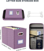 Oterri File Organizer with Lid, Hanging Filing Box with Mesh Pocket, Document Organizer for Letter Files, Portable Storage Bo