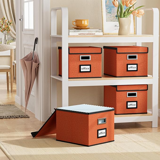 Huolewa File Organizer Box with Lid, Collapsible File Folder Organizer for Office Document Storage, Filing Box with Plastic S