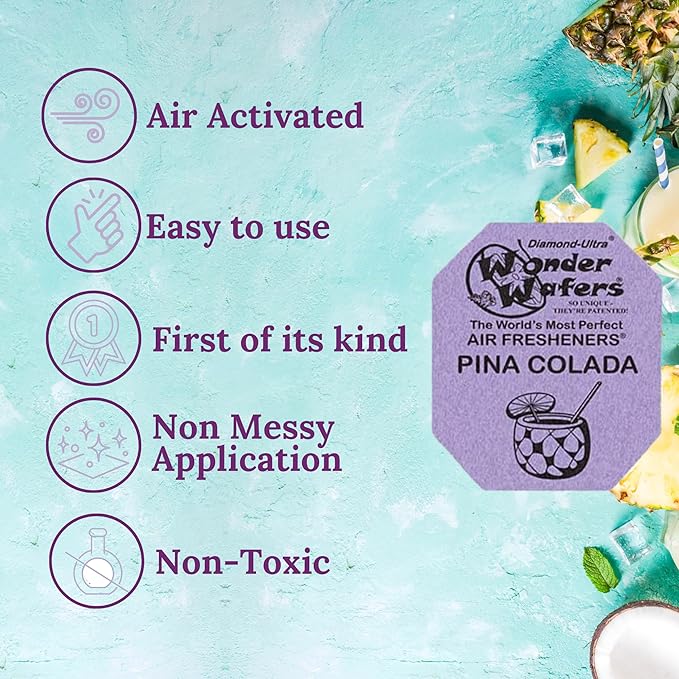 Wonder Wafers 250 Count Unwrapped Automobile Professional Use Air Fresheners Car and Truck Detail (Pina Colada)