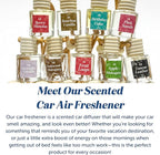 CANDECraftCo Car Air Hanging Fragrance Oil, Car Auto Freshener for Essential Oils, Scents Fragrance Aromatherapy Automobile D