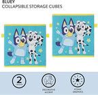 Bluey Set of 2 Collapsible Storage Cubes,10"x10"x10" Fabric Bins for Kids, Spacious Foldable Toy Organizer Boxes for Bedroom,