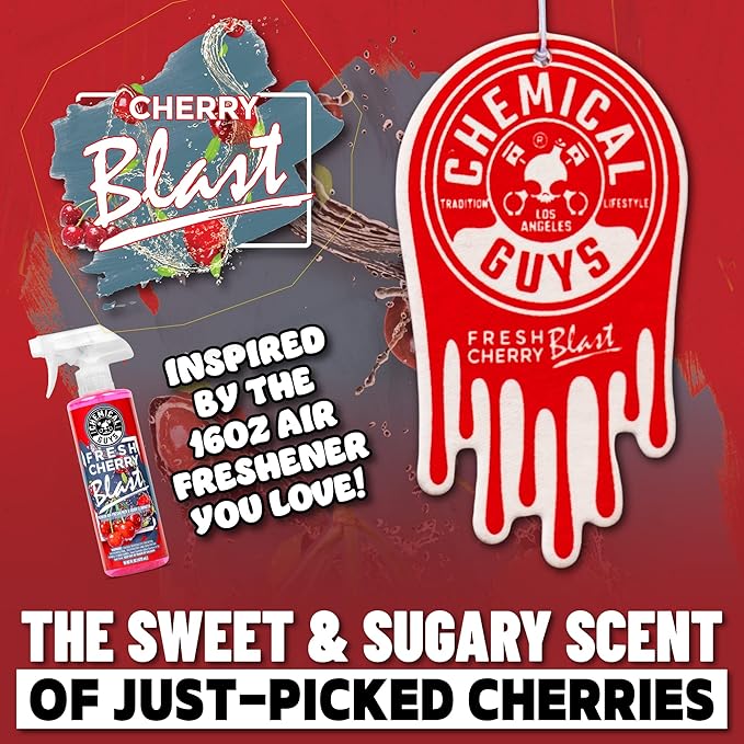 Chemical Guys Car Fresheners, Hanging Air Fresheners, Variety Scent Pack 12 Pack - for Cars, Home, Garage, Workspace, Dorm Ro