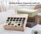 AARAINBOW 2 Packs Underwear Socks Ties Storage Organizer with Lids Foldable Closet Drawer Organizer 60 Cells, Fabric Drawer W