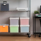 IRIS USA File Box, File Organizer w/Hinged Split Lid for Letter File, Important Document Box, Plastic Storage Filing Bin for 