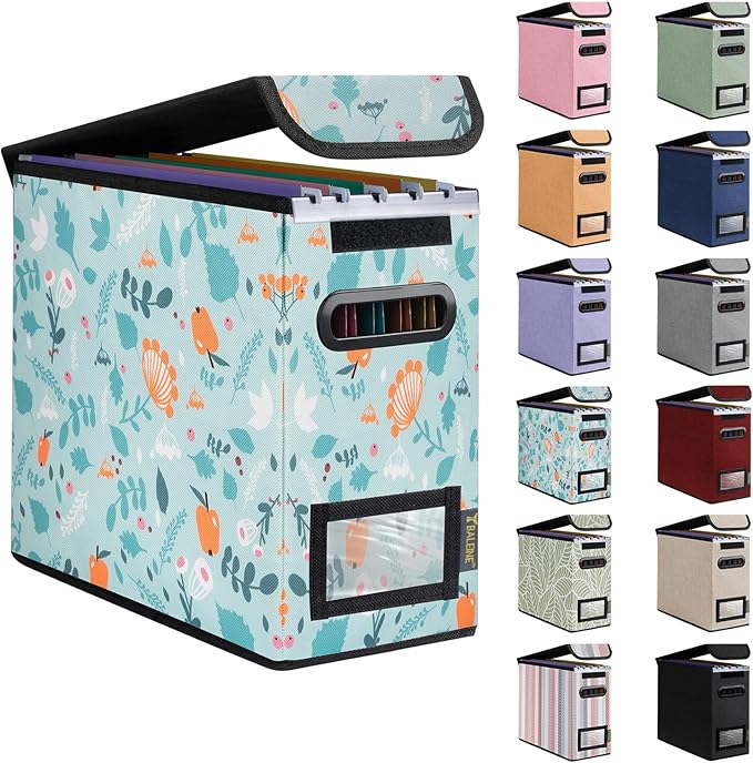 BALEINE File Organizer Box with Lid, Collapsible File Folder Organizer with Plastic Slide, Hanging File Folder Box for Office