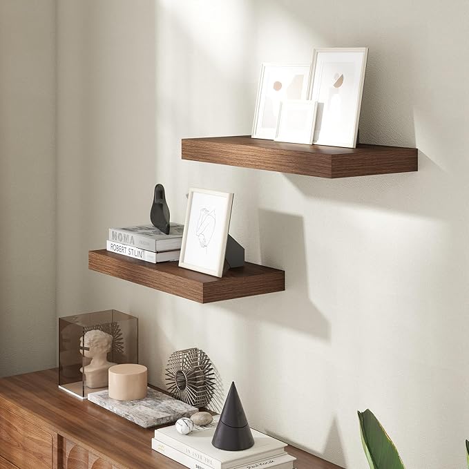 20 Inch Floating Shelves for Wall, 8 Inch Deep Floating Shelf for Storage & Display, Rustic Wall Mounted Shelf with Invisible