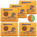 100gx5pcs Rechargeable Desiccant Packs for Storage, Reusable Dehumidifier Bags Visible Color Indicating Silica Gel Packets