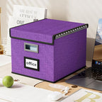 Huolewa File Organizer Box with Lid, Collapsible File Folder Organizer for Office Document Storage, Filing Box with Plastic S