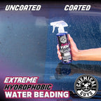 Chemical Guys HydroView Ceramic Glass Cleaner & Coating - Cleans & Adds Hydrophobic Protection, Car Window Cleaner for Glass,