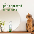 Febreze Air Mist Air Freshener Spray, Odor-Fighting Room Spray, Air Fresheners for Home and Bathroom and Kitchen, Aerosol Can