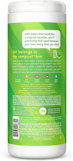 Method All-Purpose Cleaning Wipes, Lime+ Sea Salt, Multi-Surface, Compostable, 30 Count (Pack of 6)