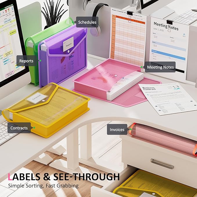 ThinkTex Plastic Expanding File Folders, Transparent Envelopes with Snap Closure, Suitable for Home, Office, School, Large Ca