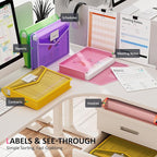 ThinkTex Plastic Expanding File Folders, Transparent Envelopes with Snap Closure, Suitable for Home, Office, School, Large Ca