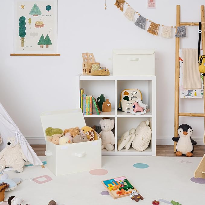 GRANNY SAYS Storage Bins with Lids, Fabric Storage Boxes, Closet Organizers and Storage, Storage Baskets for Shelves, Toy Box