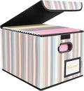 BALEINE File Organizer Box with Lid, Collapsible File Folder Organizer with Plastic Slide, Hanging File Folder Box for Office