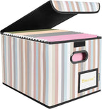 BALEINE File Organizer Box with Lid, Collapsible File Folder Organizer with Plastic Slide, Hanging File Folder Box for Office