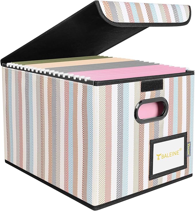 BALEINE File Organizer Box with Lid, Collapsible File Folder Organizer with Plastic Slide, Hanging File Folder Box for Office
