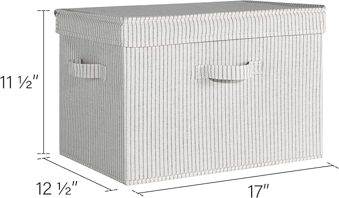 Storage Bins with Under Bed Shoe Storage