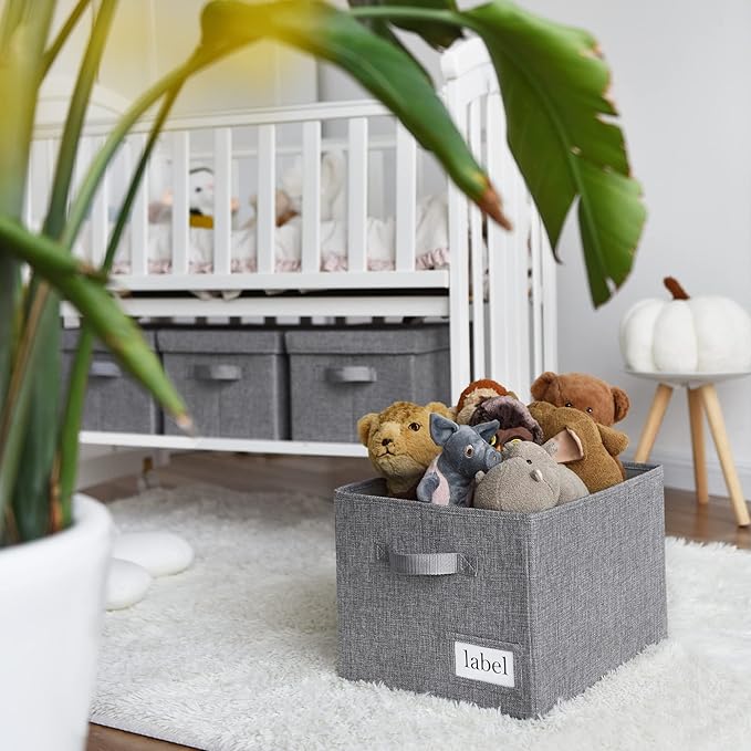 GRANNY SAYS Closet Organizers and Storage, Fabric Storage bins with Label Holder, Shelf Baskets for Organizing Bedroom, Decor