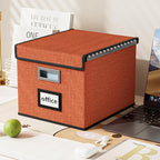 Huolewa File Organizer Box with Lid, Collapsible File Folder Organizer for Office Document Storage, Filing Box with Plastic S