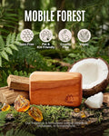 Natural Wooden Car Air Freshener for Visor Clip- Natural Teak/Coconut/Amber Scents, Long-Lasting Odor Eliminator with Metal C