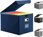 Hleelomi Collapsible File Box with Lid & Plastic Slide - Hanging Document Organizer for Office/Home, 14.96x12.6x10.83 Inch,De