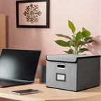 Hleelomi Collapsible File Box with Lid & Plastic Slide - Hanging Document Organizer for Office/Home, 14.96x12.6x10.83 Inch,Da