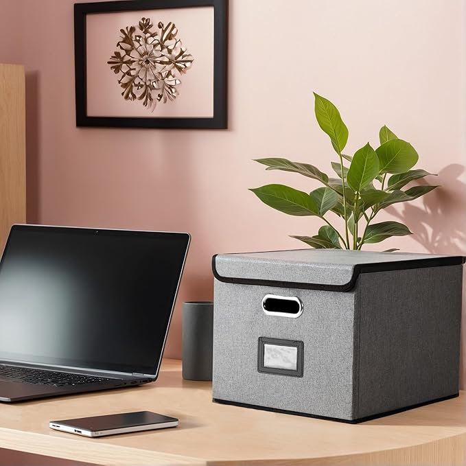Hleelomi Collapsible File Box with Lid & Plastic Slide - Hanging Document Organizer for Office/Home, 14.96x12.6x10.83 Inch,Da