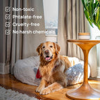 Azuna Air Freshener & Odor Eliminator for Strong Odor | 2 Room Kit Includes (2) 8 oz. Empty Luxe Glass Jars & 12 oz | Refill 