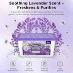 W&E Choice Moisture Absorbers with Lavender Scent, Portable Dehumidifier for Closet & Bathrooms, Kitchen, Humidity Absorber