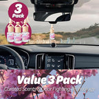 Hanging Air Freshener Car Diffusers - Long Lasting Scent, Odor Eliminator, Home Essentials, Fresh car fragrance diffuser - 3 
