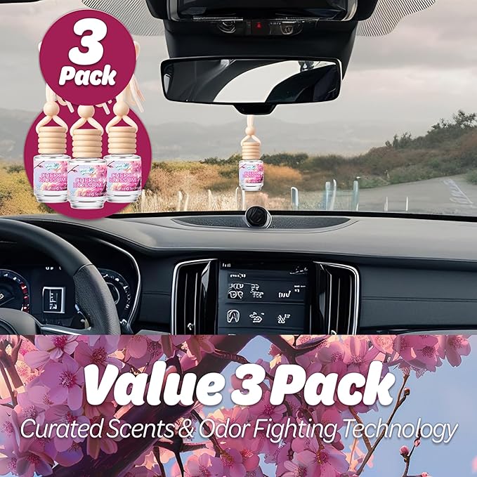 Hanging Air Freshener Car Diffusers - Long Lasting Scent, Odor Eliminator, Home Essentials, Fresh car fragrance diffuser - 3 