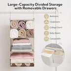 GRANNY SAYS Hanging Closet Organizer with Drawers, 4 Shelf Dividers Closet Hanging Organizer, Foldable Hanging Shelves for Cl