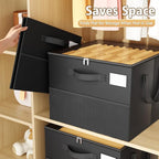 NestOrganix 2 Pack Shoe Organizer for Closet, Large Shoe Box Storage Containers, Foldable Shoe Storage Organizer Box Bin with