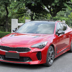 Horns Style Carbon Fiber Pattern ABS Exterior Mirror Cover Side Rearview Mirror Cover Cap Trim Compatible with Kia Stinger 2017-2024 Accessories