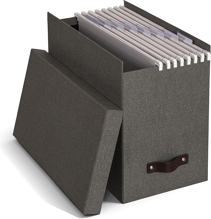 Bigso Box of Sweden File Organiser Storage with Stylish Leather Handle - Scandinavian Look Organiser Box Including 8 Hanging 