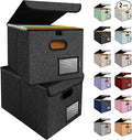 BALEINE File Organizer Box with Lid, Collapsible File Folder Organizer with Plastic Slide, Hanging File Folder Box for Office