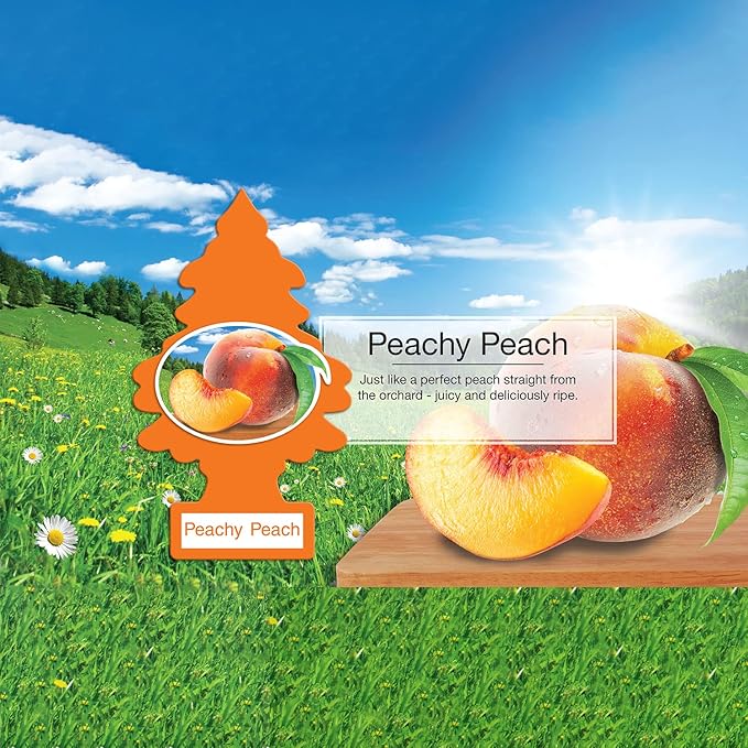 Little Trees Cardboard Hanging Car, Home & Office Air Freshener, Peachy Peach (Pack of 6)
