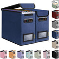 BALEINE File Organizer Box with Lid, Collapsible File Folder Organizer with Plastic Slide, Hanging File Folder Box for Office