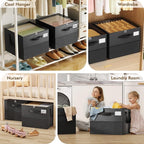 NestOrganix 2 Pack Shoe Organizer for Closet, Large Shoe Box Storage Containers, Foldable Shoe Storage Organizer Box Bin with