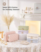 Lolalet Travel Jewelry Case for Women Girls, Travel Jewelry Organizer with Clear Storage Bag Small Portable Jewelry Box for N