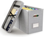 Oterri File Organizer with Lid, Hanging Filing Box with Mesh Pocket, Document Organizer for Letter Files, Portable Storage Bo
