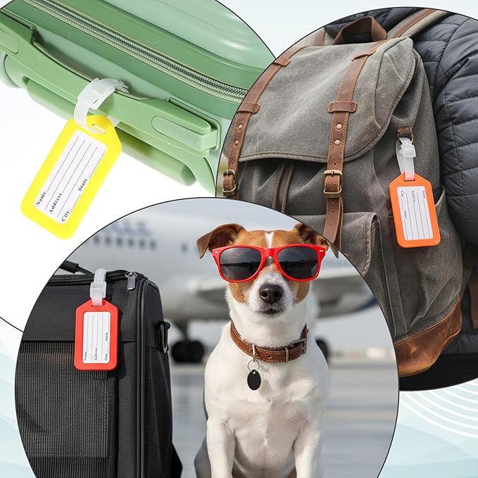 200 Pcs Luggage Tags, 10 Color Plastic Baggage ID Tags Pack Name with Blank Inserts for Suitcases, Backpacks, and Travel Bags