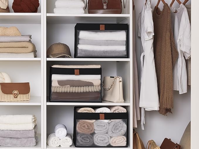 Underbed Storage Bins with Closet Storage Bins