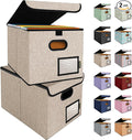 BALEINE File Organizer Box with Lid, Collapsible File Folder Organizer with Plastic Slide, Hanging File Folder Box for Office