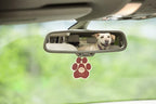 One Fur All Pet House & Car Freshener - Evergreen Forest Pack of 4 - Non-Toxic Pet-Friendly Hanging Odor Eliminator For Small