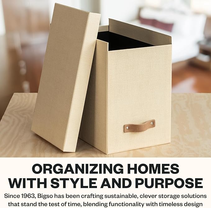 Bigso John File Box - File Storage Box and File Organizer for Important Paperwork - Durable Hanging File Box with Lid and Lea