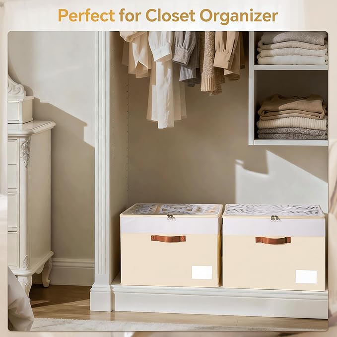 Criusia Shoe Organizer for Closet, 2 Pack Foldable Shoe Storage Organizer Box Bin with Adjustable Dividers and Clear Cover, C