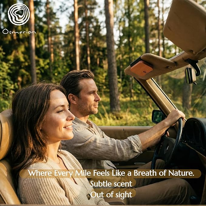 Car Air Freshener - Wood Air Freshener for Visor Clip - Long Lasting Car Odor Eliminator - Vehicle Scent Diffuser - Variety S
