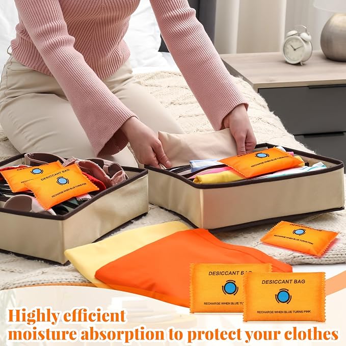 5 Packs 100g Rechargeable Desiccant Moisture Absorbing Bag for Storage Bin Silica Gel Dehumidifier Bag Reusable Indicating